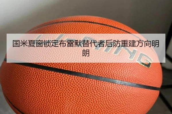 国米夏窗锁定布雷默替代者后防重建方向明朗